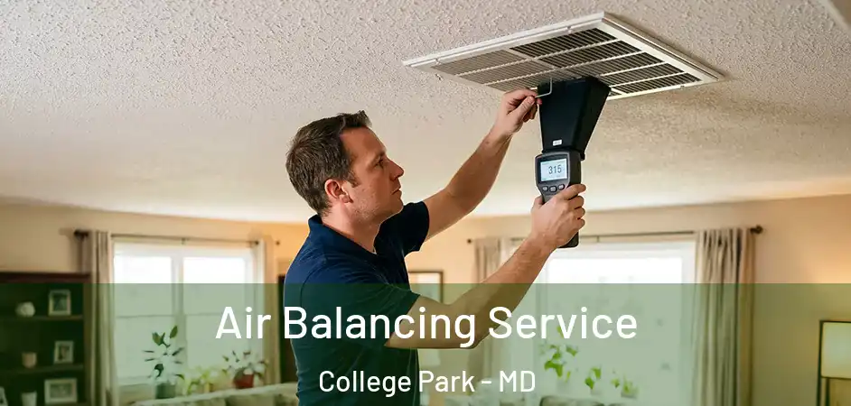 Air Balancing Service College Park - MD