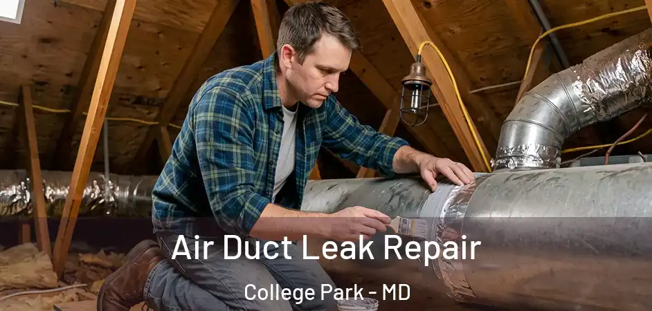 Air Duct Leak Repair College Park - MD