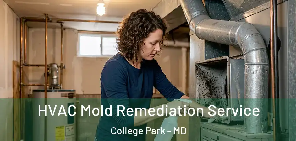 HVAC Mold Remediation Service College Park - MD