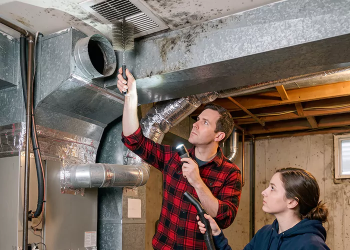 Premier HVAC Mold Remediation Company in College Park